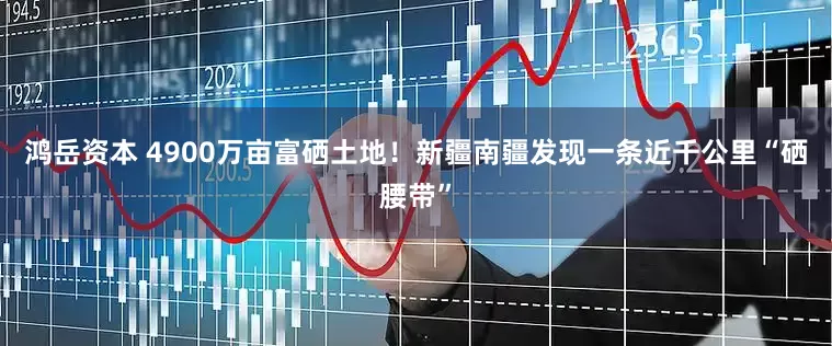 鸿岳资本 4900万亩富硒土地！新疆南疆发现一条近千公里“硒腰带”