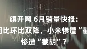 旗开网 6月销量快报：理想同比环比双降，小米惨遭“截胡”？