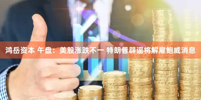 鸿岳资本 午盘：美股涨跌不一 特朗普辟谣将解雇鲍威消息