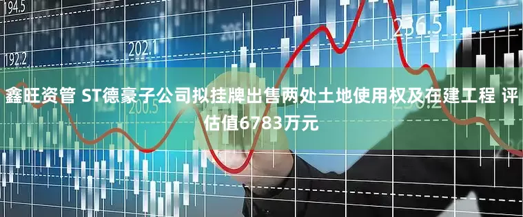 鑫旺资管 ST德豪子公司拟挂牌出售两处土地使用权及在建工程 评估值6783万元