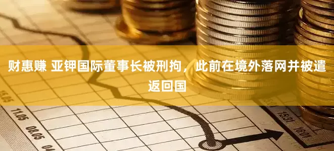 财惠赚 亚钾国际董事长被刑拘，此前在境外落网并被遣返回国
