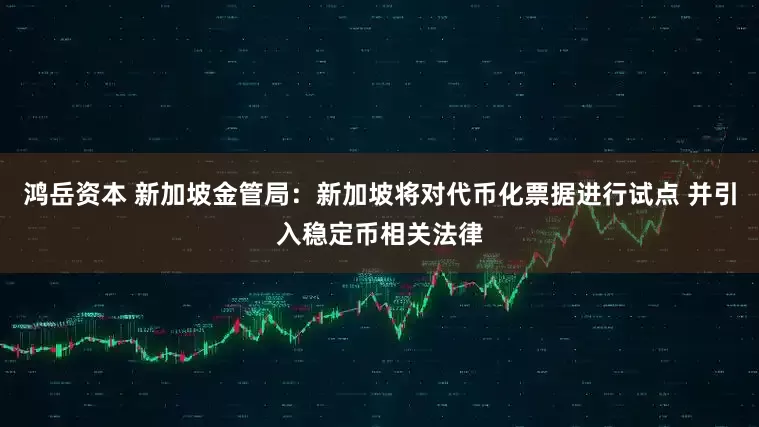 鸿岳资本 新加坡金管局：新加坡将对代币化票据进行试点 并引入稳定币相关法律