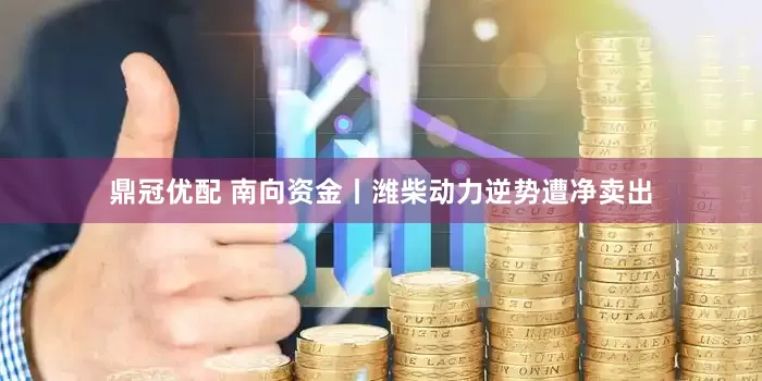 鼎冠优配 南向资金丨潍柴动力逆势遭净卖出