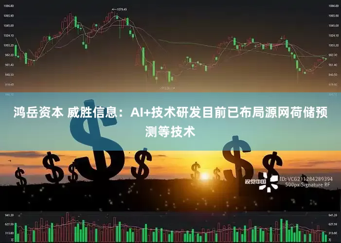 鸿岳资本 威胜信息：AI+技术研发目前已布局源网荷储预测等技术