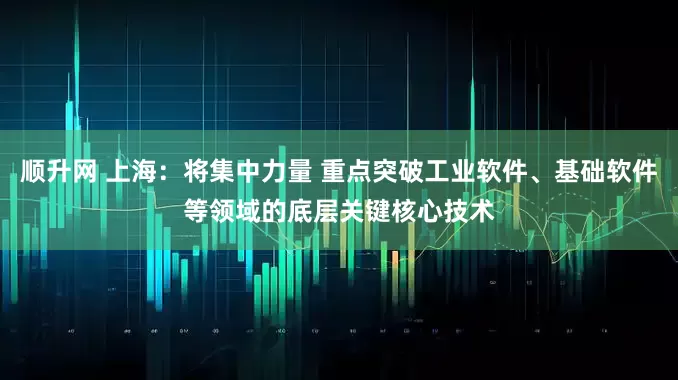 顺升网 上海：将集中力量 重点突破工业软件、基础软件等领域的底层关键核心技术